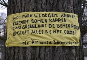 GroenLinks Arnhem beantwoord vragen Arnhems Peil over uitblijven BomenBeleid