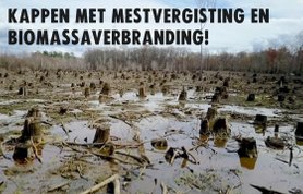Zienswijze Arnhemse Bomenbond Omgevingsvisie 2040 - Kappen met biomassaverbranding en mestvergisting