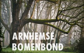 Oprichting Stichting Arnhemse Bomenbond - Tree Union