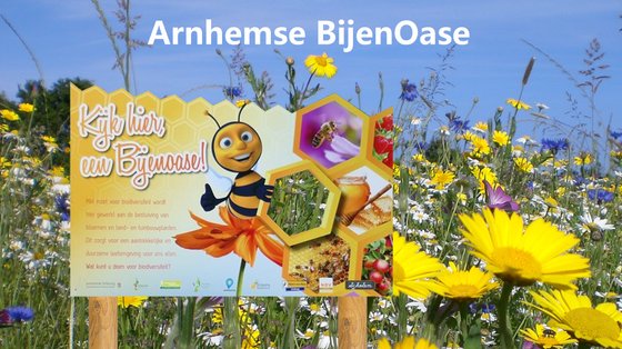 Arnhemse BijenOase