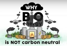 arnhemspeil animatie video waarom biomassacentrales niet CO2 neutraal zijn edsp.tv