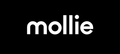 Gebruik Mollie om de acties & projecten van Stichting Arnhems Peil mogelijk te maken.